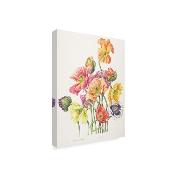 Janneke Brinkman-Salentijn 'Poppy Bouquet' Canvas Art,35x47